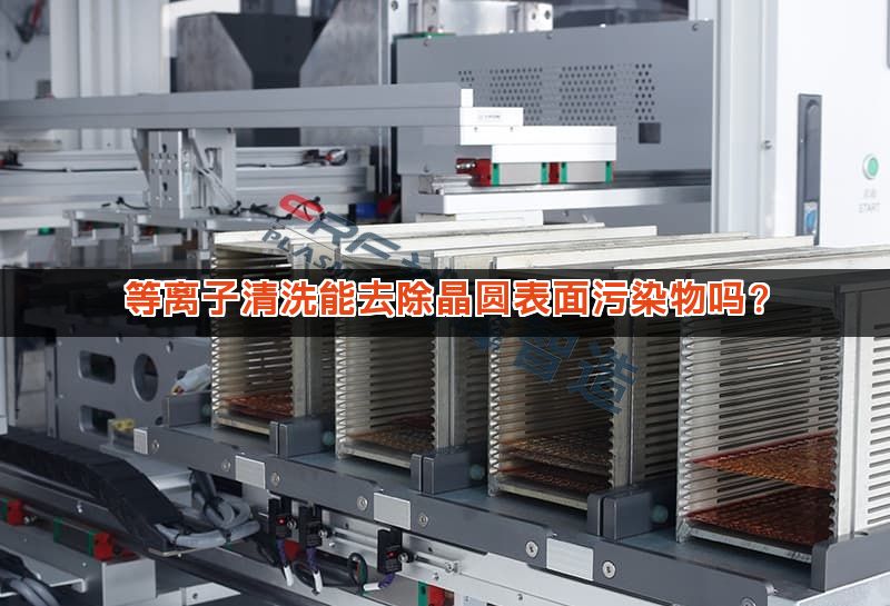 等离子清洗能去除晶圆表面污染物吗？
